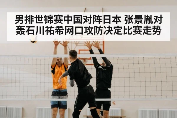 volleyball net block